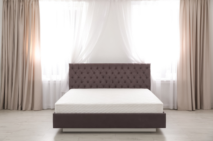 Survive the End of the World With … a Latex Mattress?!