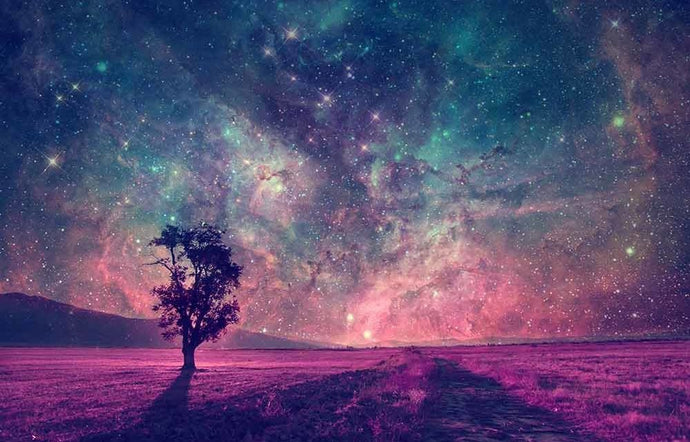 Explore New Worlds: Lucid Dreaming