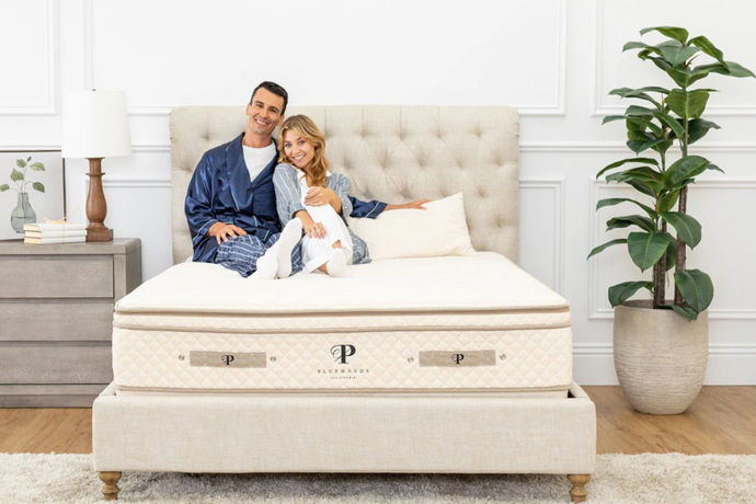 PlushBeds Mattress Review