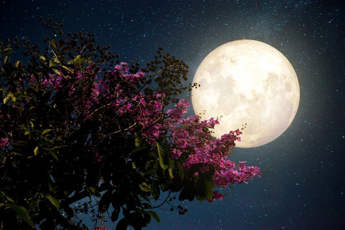 Does a Full Moon Really Affect Behavior?