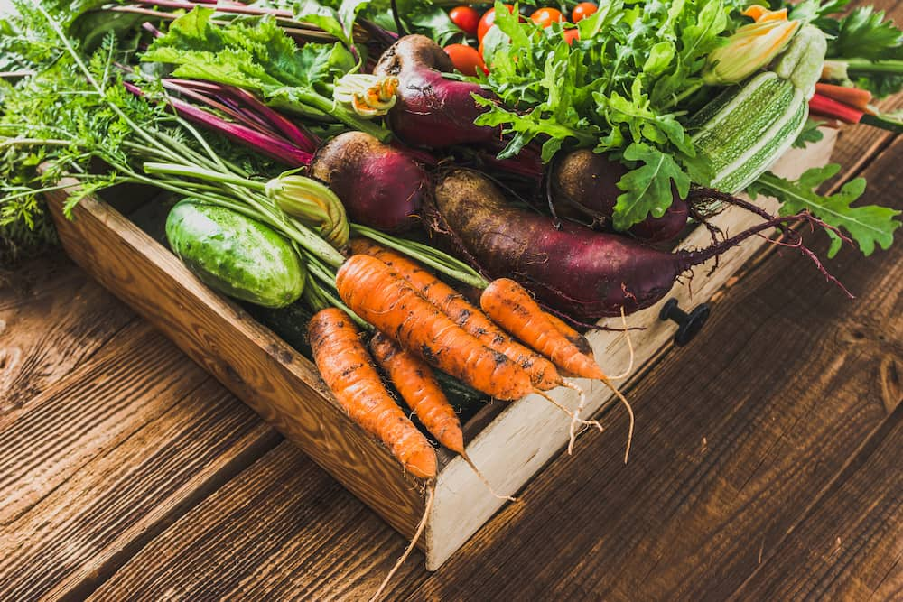 garden vegetables