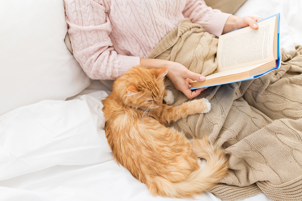 reading in bed